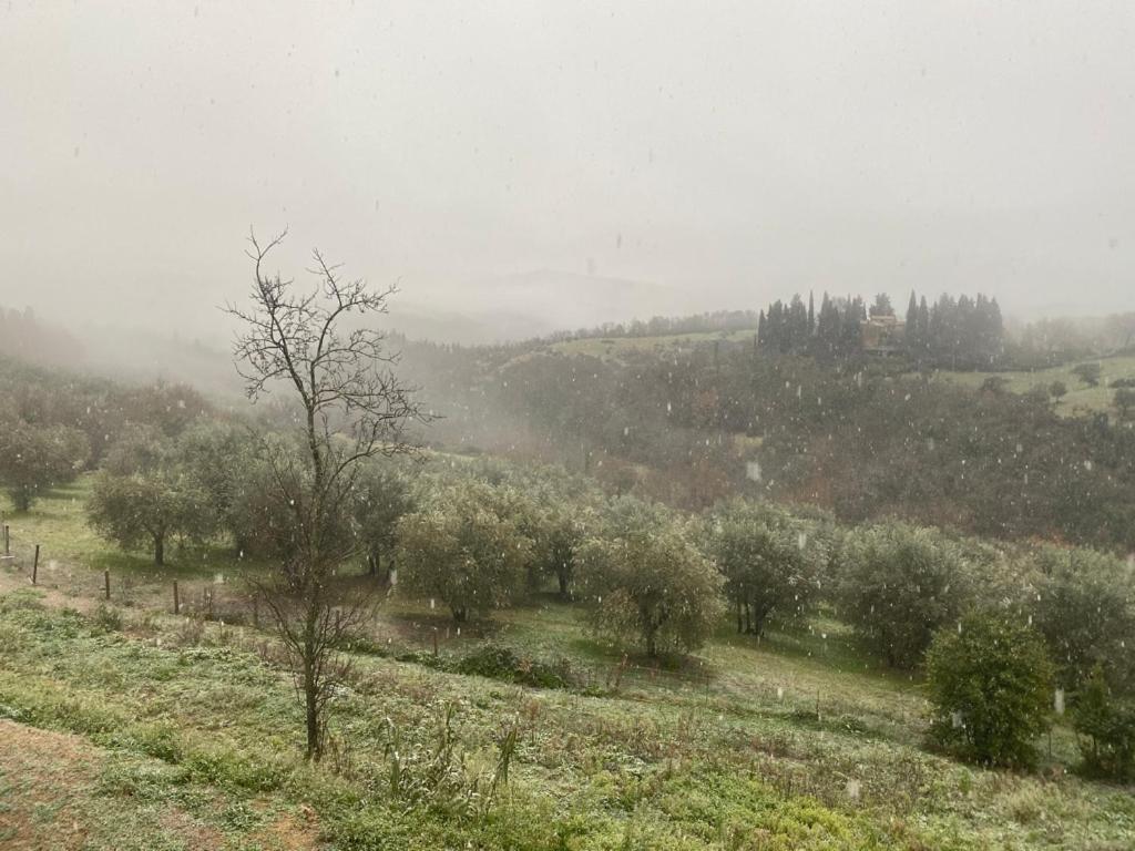 Campora House Hotell Tavarnelle Val di Pesa Eksteriør bilde