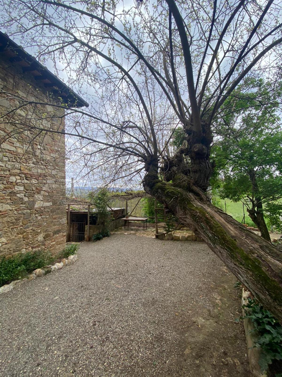 Campora House Hotell Tavarnelle Val di Pesa Eksteriør bilde